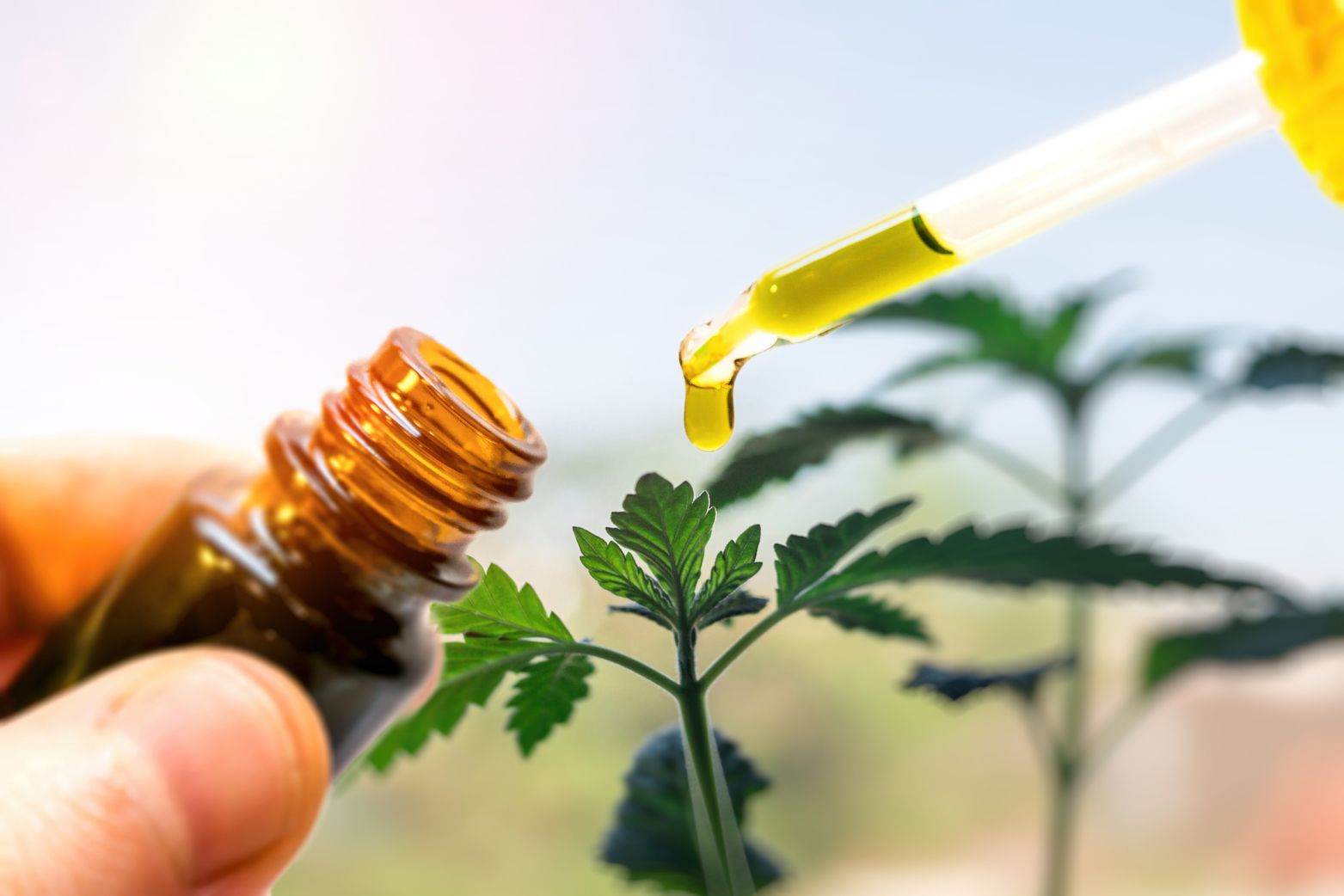 Effect of CBD products